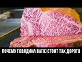 Почему говядина Вагю стоит так дорого