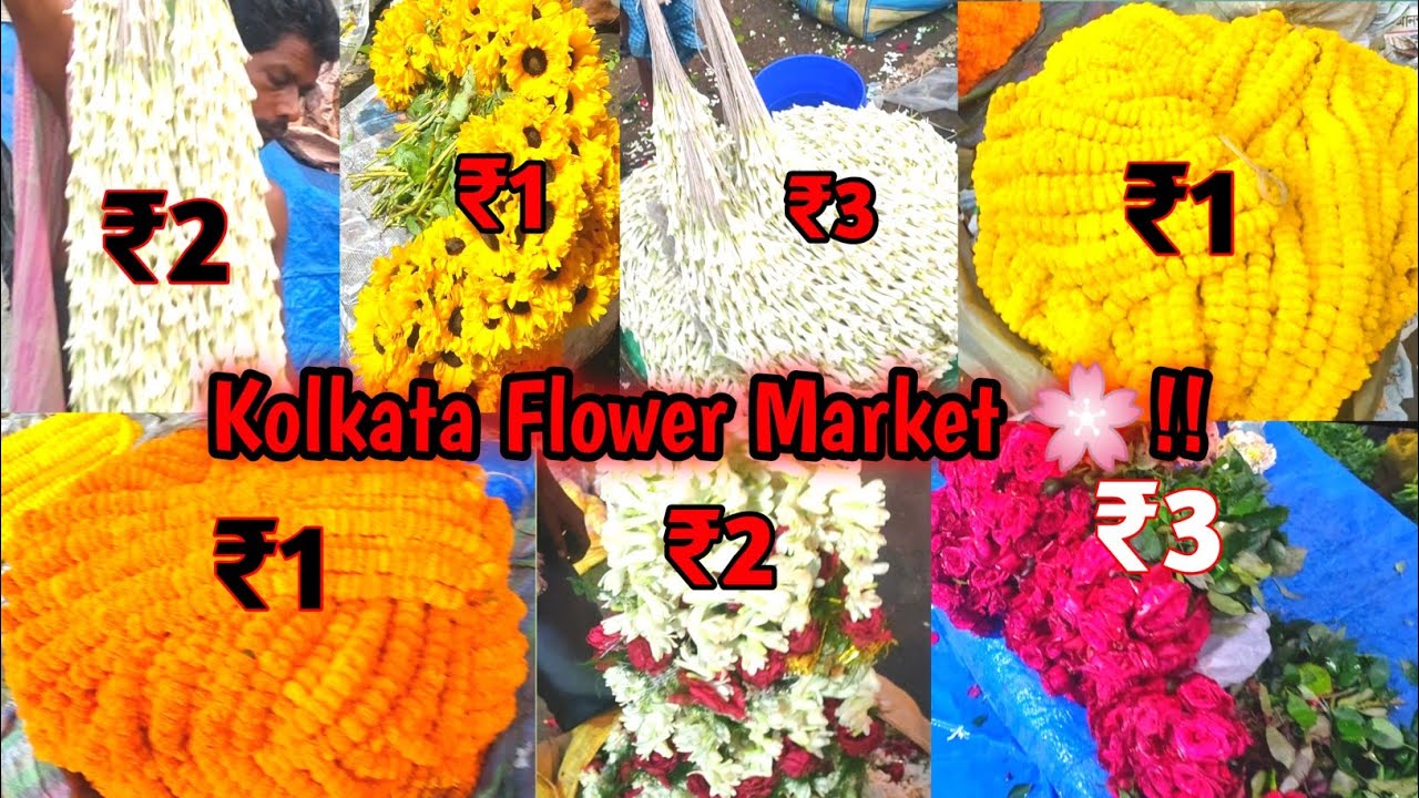 Kolkata Flower Market 🌼 || howrah flower market || flower market kolkata || Shankar Vlogs