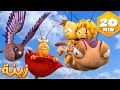 المعركة من أجل الزهرة المثالية   🐝 مايا النحلة | كرتون وأفلام للأطفال | أطفال عربي الجميع