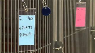 Law keeps evidence dogs behind bars