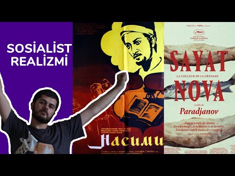 Video: Yeni Zelandiya Vəhşi Təbiət Qoruğunda vəhşi Afrika aslanları: daxili görünüş