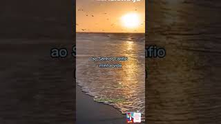 boa semana (mensagem)