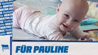 Für Pauline Stäbchen Rein, Spender Sein Hertha Bsc X Dkms