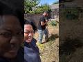 Everybody said pay the $600 PT 2 #backyardtransformation #yardcleanup #backyardmakeover #marriedlife