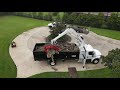 Tree Service Southlake Texas
