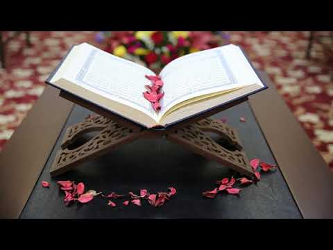 026 سورة الشعراء مشاري العفاسي بدون إعلانات