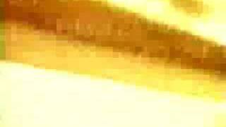 David Carson - The End Of Print