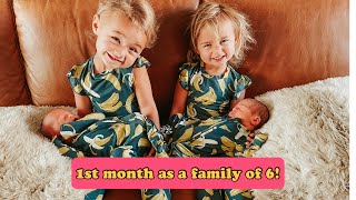 First month as a family of 6!