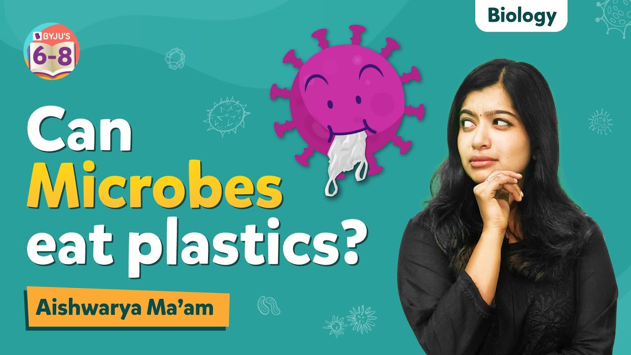 How Are microorganisms Involved in Bioremediation | BYJU'S - Class 6, 7 & 8