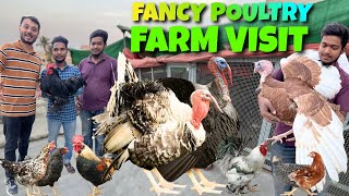 Fancy murgio ka farm visit Kya 😱fancy for sale ( Sunday pet Lalukhait birds market Karachi )