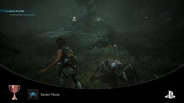 Scars Above_Darwin Theory TROPHY