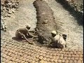 زمن الخير والبركه والطيبه ايام زمان الريف المصرى الصعيد الجوانى الاقصر 1920 