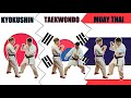 Fighting stance  taekwondo vs muay thai vs kyokushin karate  pros  cons