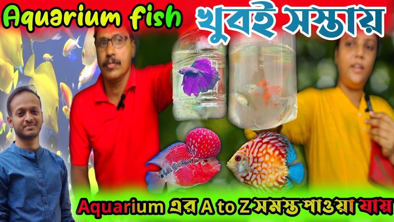 Serampore Pet Market Fish Shrirampur Pet Market Price Update Today