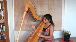 Paraguayan harp - 'Cascada' played by Fizzi Whale