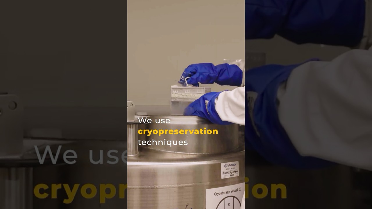 Как сохранить 2,5 миллиарда семян