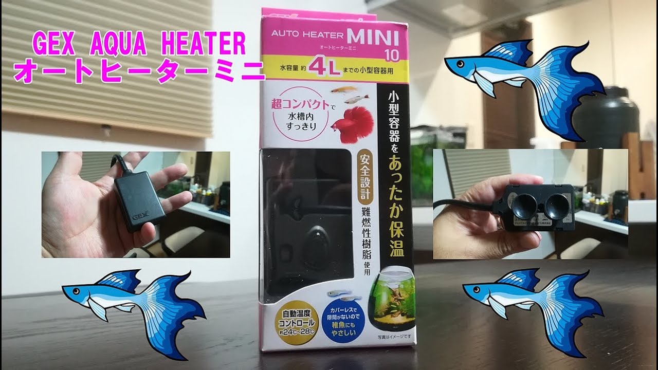 グッピーの稚魚の為にgex Aqua Heater オートヒーターミニを購入しました Youtube