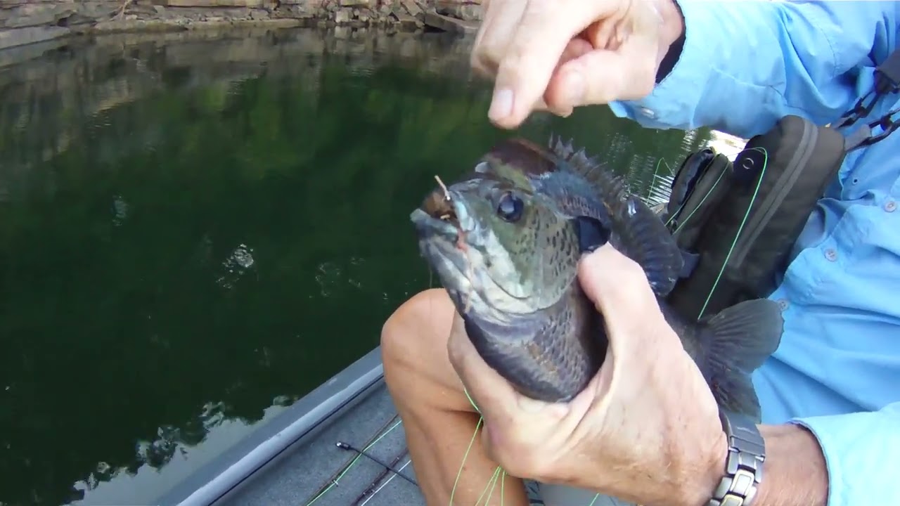 LANDING A HUGE COPPERNOSE BLUEGILL FISHING SMITH LAKE