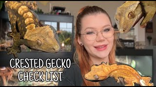 Watch THIS Before Getting a Crested Gecko - Everything YOU need!