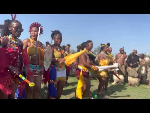 Umkhosi weLembe - Zulu Washintsha iNkosi - ihubo #umhlanga #zulukingdom #misuzulu #kingmisuzulu