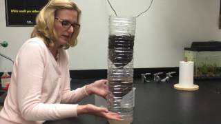 Building EcoColumns Part 3: Flushing and Unclogging