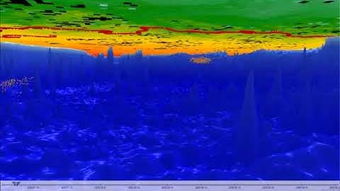 Sea Surface Temperature (SST), drifter buoy and fish model data in Eonfusion