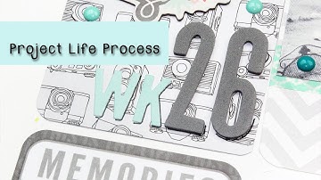Project Life Process Week 26