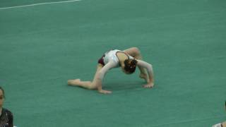 Olivia Orlando - Floor - 2017 Level 10 Regionals - Region 7