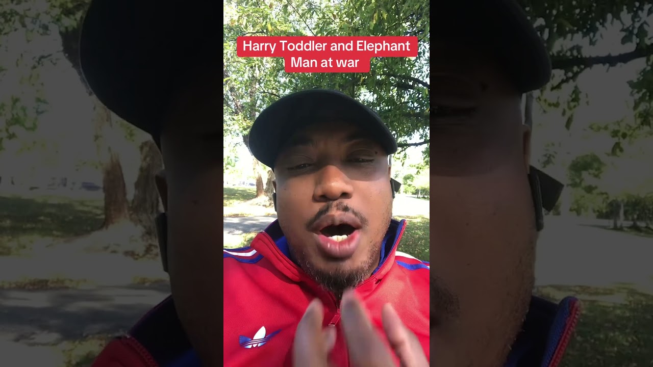 Harry Toddler vs Elephant Man