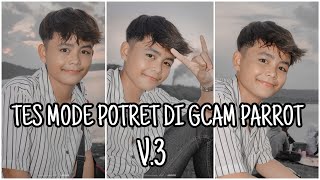 Tes mode POTRET di GCam PARROT || REDMI NOTE 8