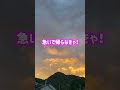 今朝、彼氏に内緒で家を出ました。新しい道も応援してるよ。 #shorts