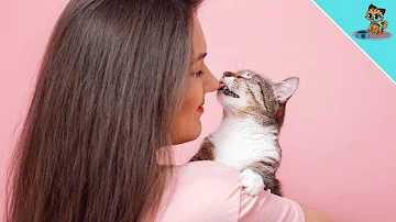 Ist es schlimm seine Katze zu Küssen?