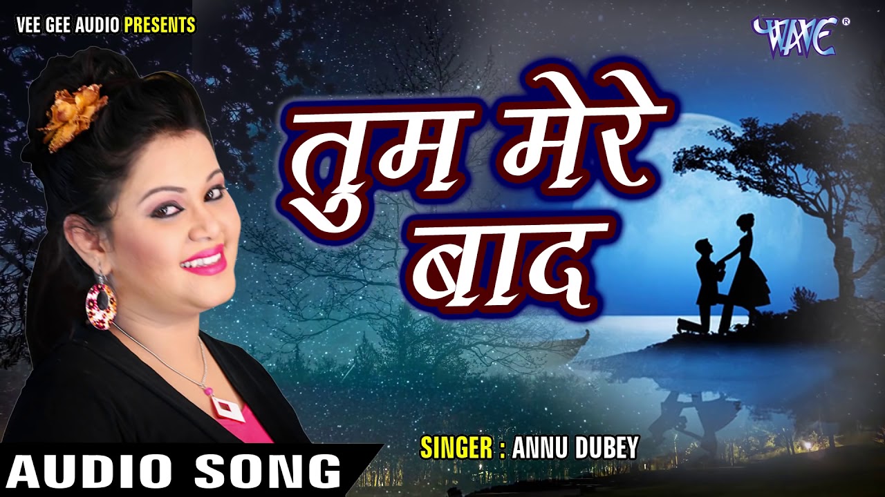           Tum Mere Bad   Pyar Mohabbat   Hindi Sad Songs