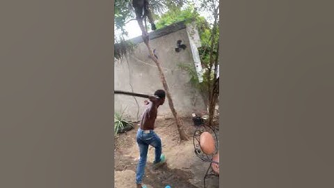 Huge fighting in Jamaica #trending #jamaica #shortsfeed #fighting #shorts