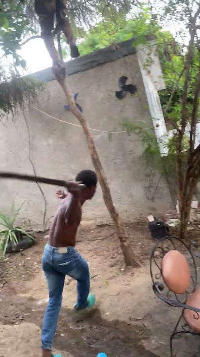 Huge fighting in Jamaica #trending #jamaica #shortsfeed #fighting #shorts