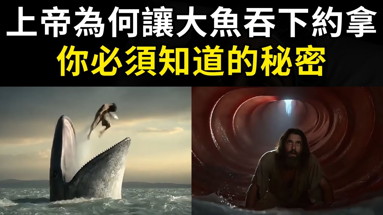 上帝為何讓大魚吞下約拿？每一位信徒都必須知道的秘密！I 約拿書 I 上帝的憐憫 I 尼尼微悔改 I 悔改與救贖