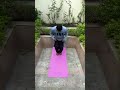 Seersh Aasan (Head Stand)