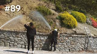 #89 Garden irrigation: Modern sprinklers within traditional Tuscan stone walls. Olive orchard update