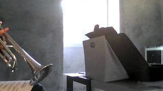 Capture 20110720