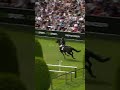 The last time ❤️‍🩹 #horsefail #fail #horseedits #equestrian #equestrian #showjumping #horsejumping