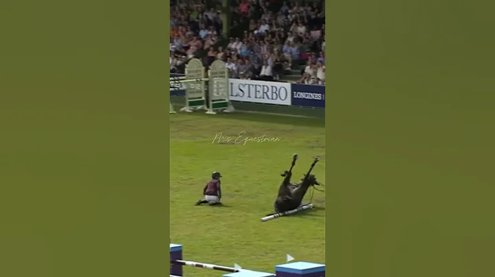 The last time ❤️‍🩹 #horsefail #fail #horseedits #equestrian #equestrian #showjumping #horsejumping