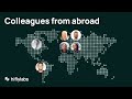 Colleagues from abroad - Full version