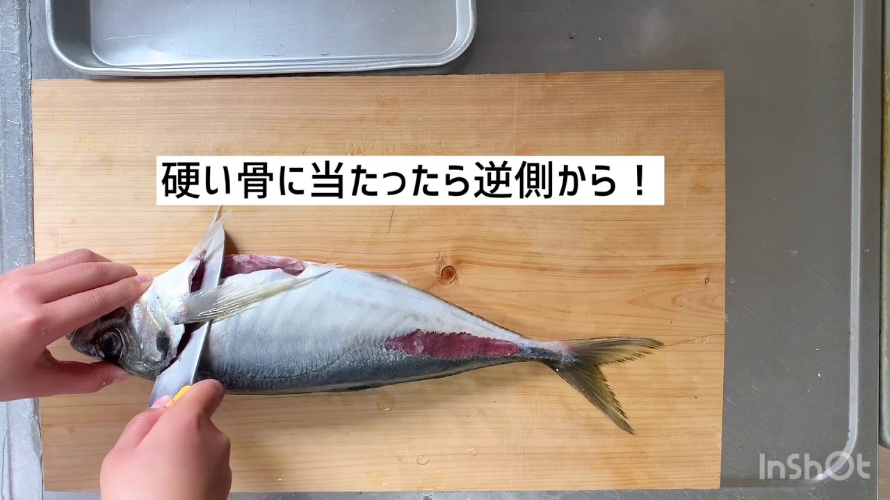 【小学生でもできる！魚のさばき方】[小学生がさばく！\アジの三枚おろし♩／] - YouTube