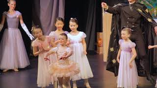 The Nutcracker 2017