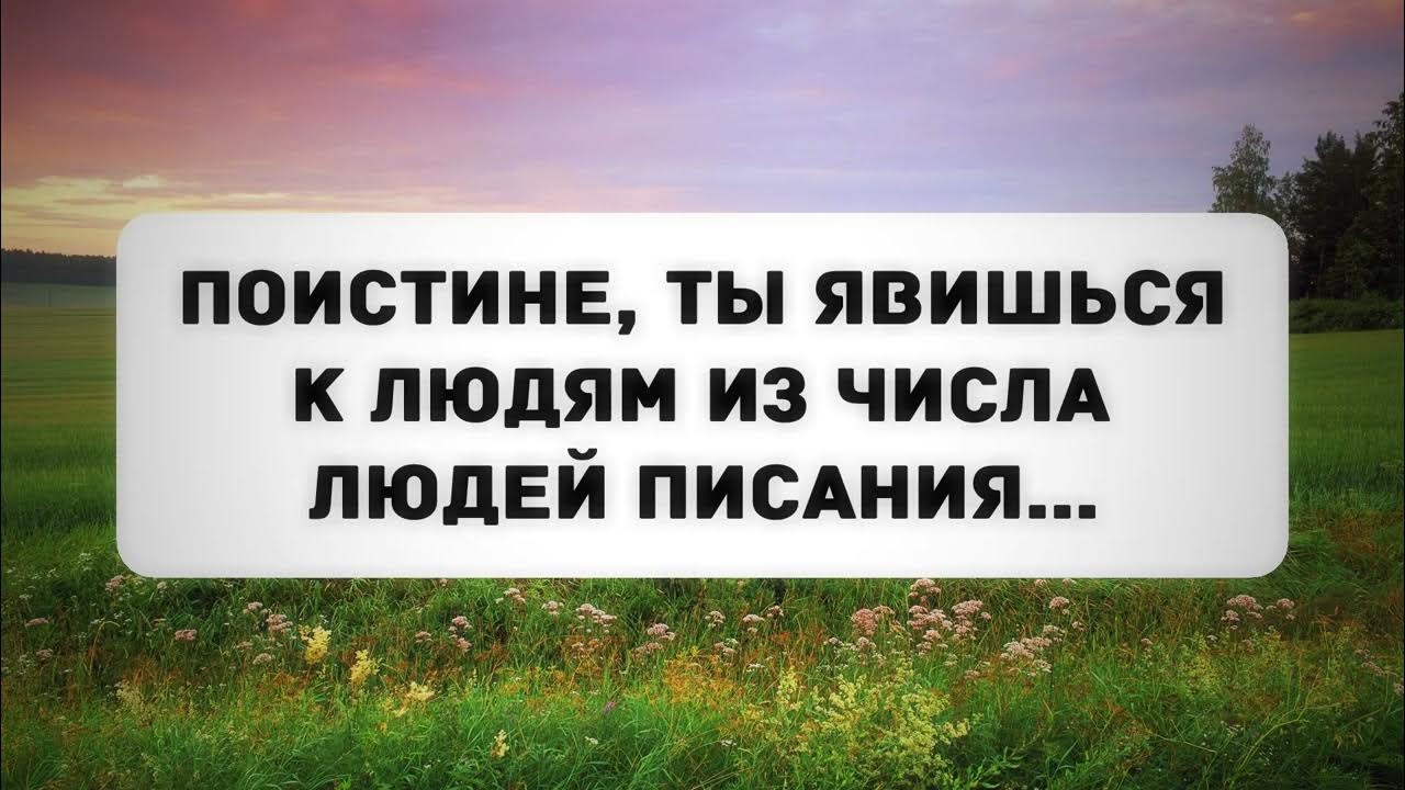 Люди писания это. Цитаты из корана о жизни. Люди писания это. Аяты из корана. Люди писания это.