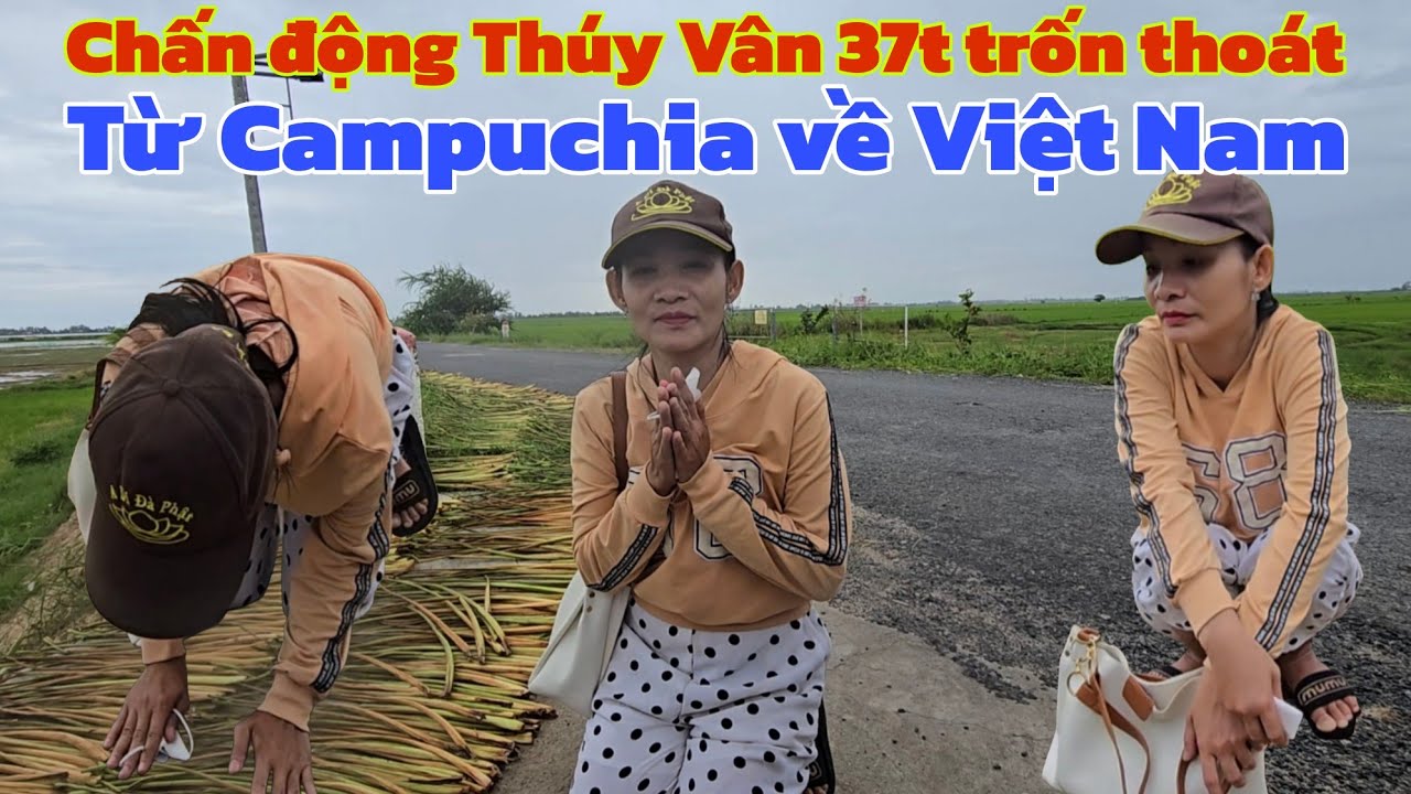 Chấn động Thúy Vân 37t trốn thoát khỏi địa ngục trần gian Campuchia về sống lang thang 