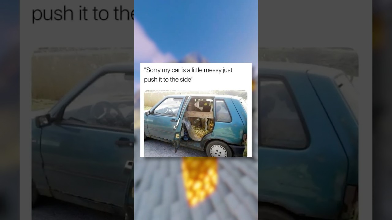 Car Memes That Will Make You Laugh So Hard