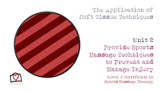 The Application of Soft Tissue Techniques screenshot 2