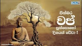 Vap Full Moon Poya Day 2023