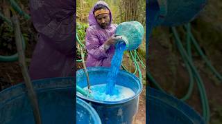 Cardamom farm 🌱#cardamom #agriculture #idukki #kerala #maharashtra #tamilnadu #gujarat screenshot 4